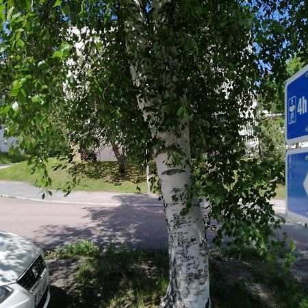 Laajavuoren Majapaikka — Condo In Laajavuori Ювяскюля Екстер'єр фото